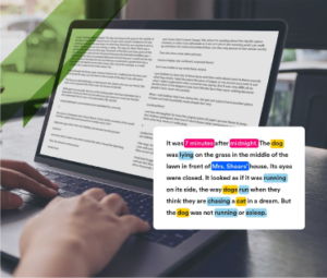 Text Annotation Services