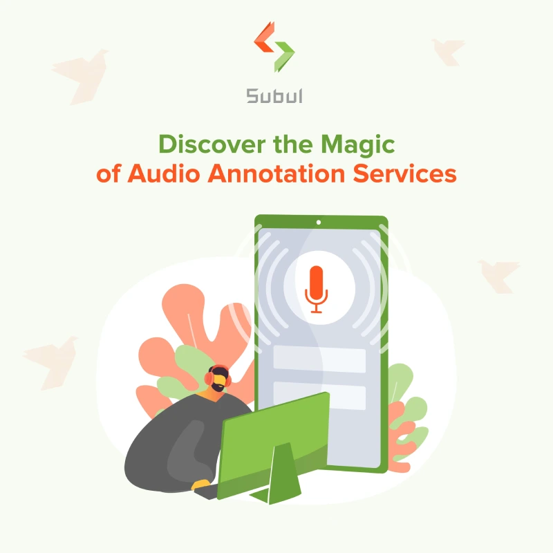 Audio Annotation Services